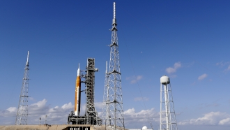 NASA's new moon rocket sits on Launch Pad 39-B.