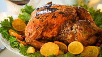A cooked turkey is shown.