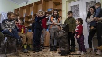 Ukrainian Center Offers Dog Therapy For Children Traumatized By War