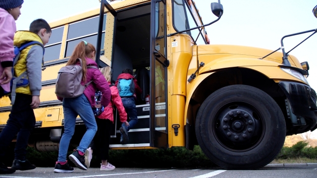 What's The Risk Of Riding The School Bus?