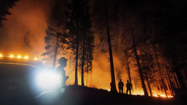 Climate Change Is Driving A Fierce 2021 Wildfire Season