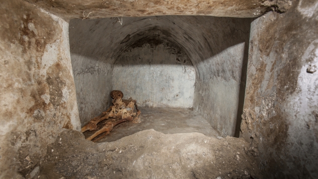 Well-Preserved Skeletal Remains Provide Evidence Of Greek In Pompeii