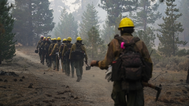 Fire Officials Optimistic In Fight Against Lake Tahoe Fire