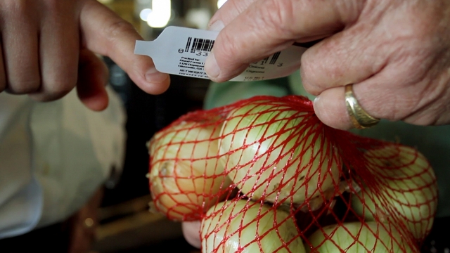 U.S. Salmonella Outbreak Linked To Imported Onions
