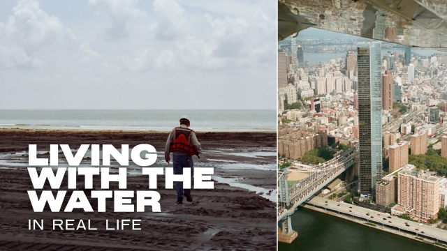 In Real Life: Living With The Water