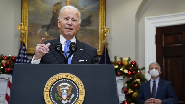 Pres. Biden Says New Variant Cause For Concern, Not Panic In U.S.