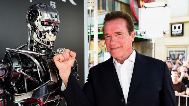 Arnold Schwarzenegger Tells Putin In Video: 'Stop This War'