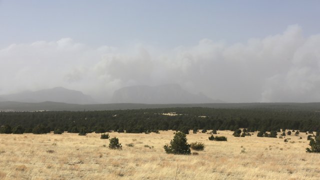 Emergency Declaration For Multiple Wildfires In New Mexico