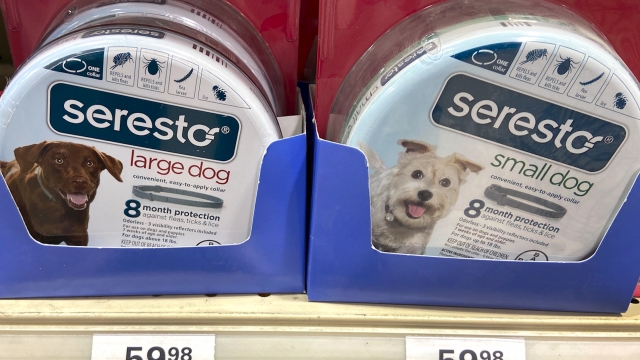 Seresto Dog Collar Under Fire For Alleged Cover-Up