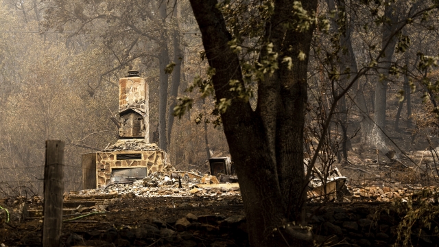 Wildfires Are Spreading Rapidly Across The U.S.