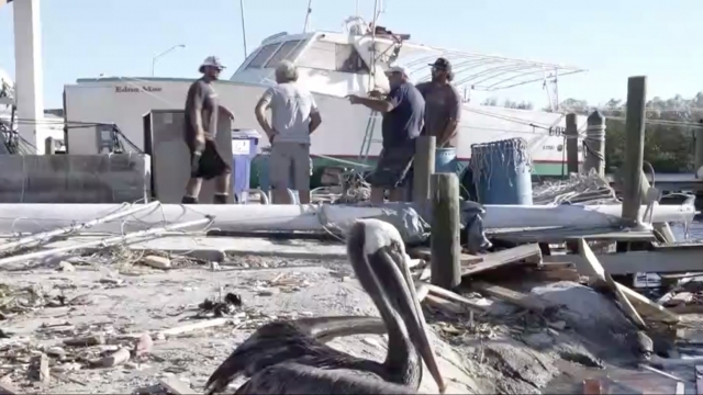 Hurricane Ian Ravaged Family Fishing Business Just Before Crab Season