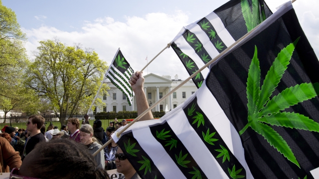 Voters In 5 States Decide Whether To Legalize Marijuana