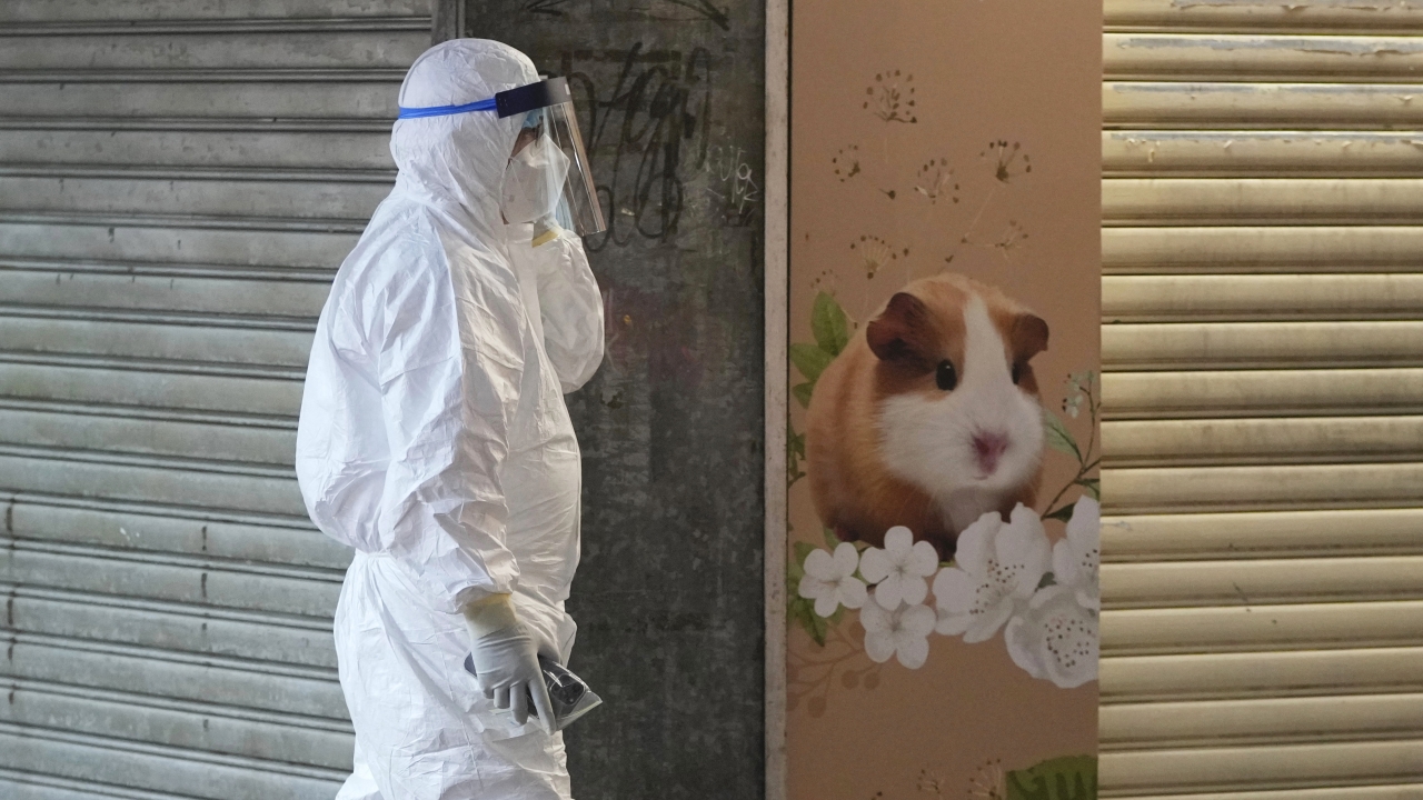 A pet shop in Hong Kong temporarily closes after hamsters test positive for coronavirus