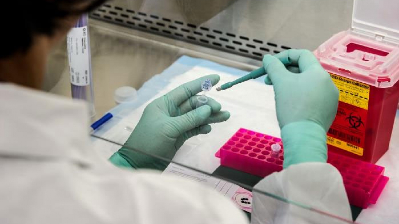 CDC scientist extracting viral RNA from samples of poliovirus genetic material for molecular testing.