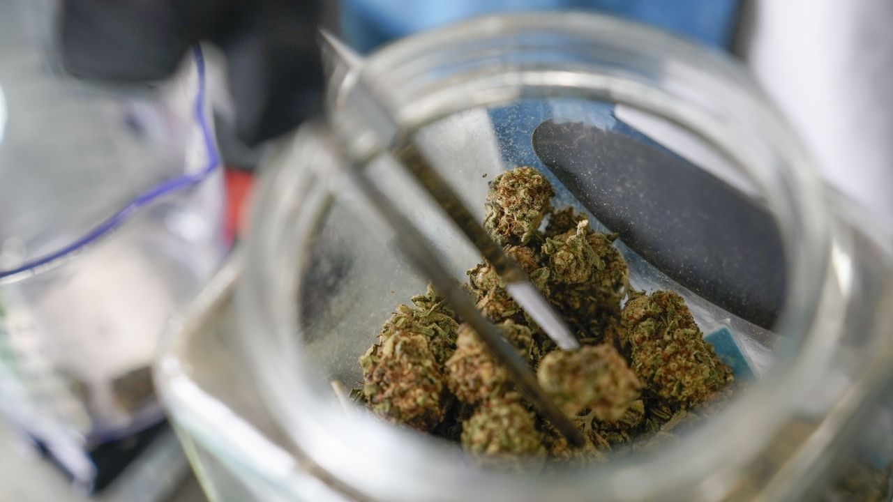 Some States Are Voting On Legalizing Marijuana